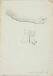 Brazo y Pies, estudio para Espejo de Venus