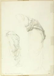 Drapery, dos estudios para El espejo de Venus