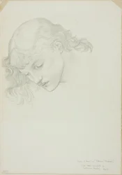 Cabeza, estudio para Espejo de Venus