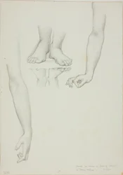 Estudio para Espejo de Venus: Brazos y pies de Venus