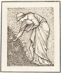 Dama recogiendo flores