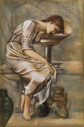 La Serie de la Rosa Silvestre - Estudio para 
