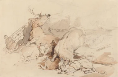 Sabuesos y cazadores atacando ciervos
