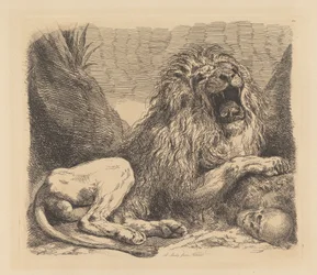 Un estudio de la naturaleza; un león entre rocas, rugiendo, un cráneo humano abajo a la derecha
