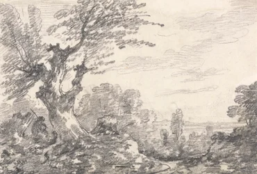 Composición del paisaje