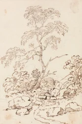 Árbol por pasos