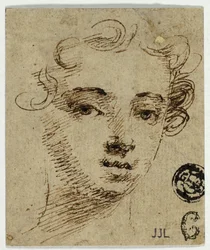 Cabeza de mujer joven