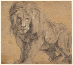 León