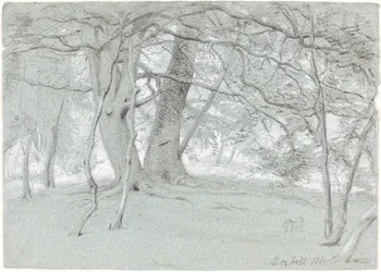 Árboles en Box Hill