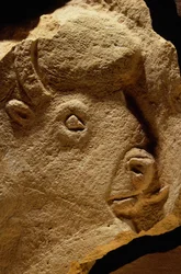 Escultura en bajorrelieve de un bisonte, la piedra caliza tiene dieciséis mil años.