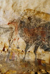 Detalle de la pintura grabada de cabezas de caballo, Lascaux.