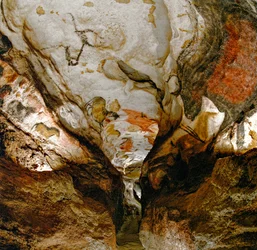 La Galería Axial muestra auros extintos en el techo de la cueva de Lascaux, Francia.