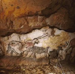 El Unicornio Mítico de Lascaux pintado hace más de 17.000 años recubre la calcita blanca...