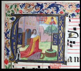 Inicial historiada A, de un temporal usado por las Hermanas de la Congregación de las Carmelitas de Brujas, escrito por la Hermana Margarita Bruynewe, 1505 (detalle)