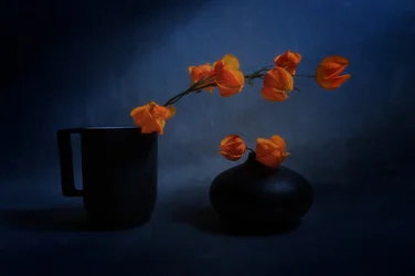 Naturaleza muerta con farolillos de otoño
