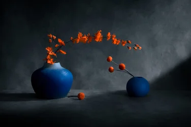 Jarrones azules, flores naranjas