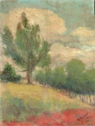  Padina con gran puñalada