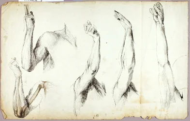 Estudios sobre los brazos, nº 2