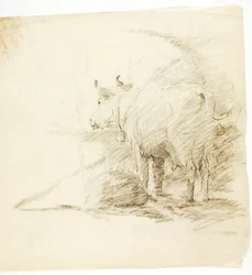 Vaca
