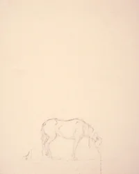 Sueño de un Broncho #1