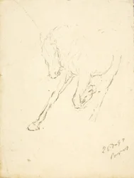Caballo