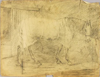 Caballo