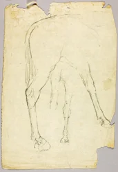 Caballo