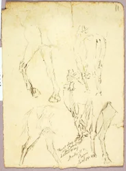 Caballos