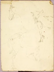 Caballos