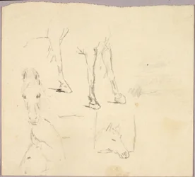 Caballos