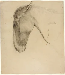 Cabeza de Caballo