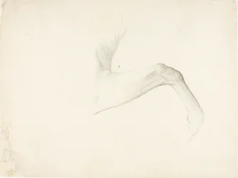 Pierna de caballo