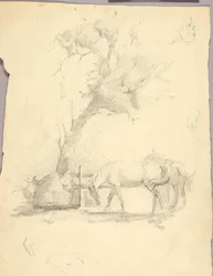 Caballos y árboles