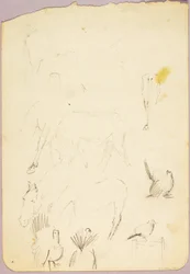 Caballos y pavos