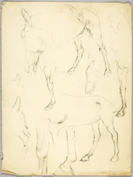 Estudio de retrato, Estudio de caballo
