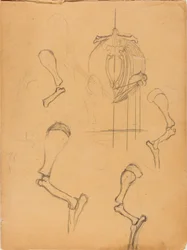 Libro de bocetos