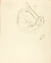 Nadador