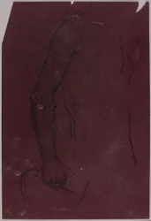 Torso, estudio para monumento ecuestre