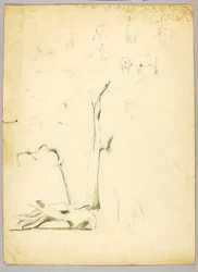Troncos de árbol y ovejas