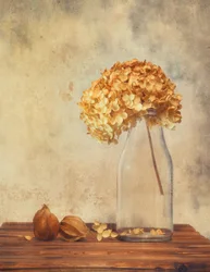Naturaleza muerta con hortensias secas