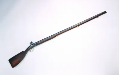 Mosquete Bobbejaanbout (muslo de babuino)