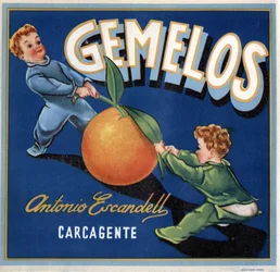 Publicidad de naranjas, imagen de dos bebés gemelos peleando por una naranja. Cartel publicitario, Valencia