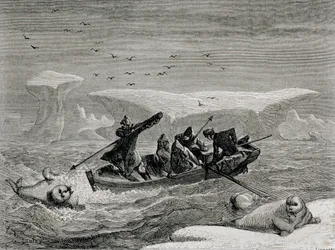 Cazando morsas con arpones en las islas Spitsbergen, archipiélago de Svalbard, ilustración de 