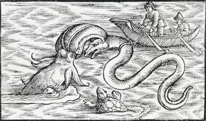 Monstruos marinos, 1511