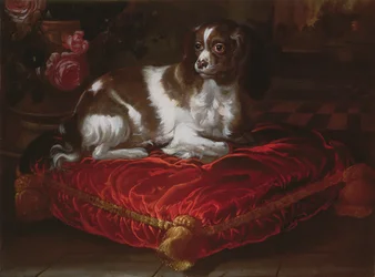 Spaniel en un Cojín