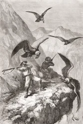 Édouard François André y su compañero siendo atacados por cóndores cerca de Calacalí, Provincia de Pichincha, Ecuador, durante su expedición botánica en las estribaciones de los Andes en 1875-76