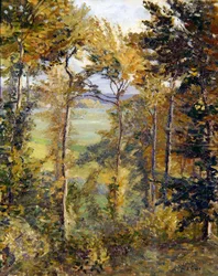 Paisaje Boscoso en Tibermont, Neuville Les Dieppes