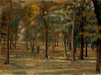 Parque Richmond