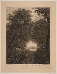 Camino del bosque