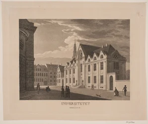 La universidad